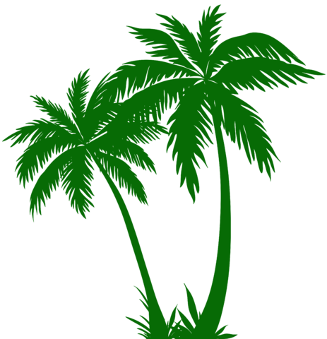 Palm Trees Silhouette Png Clip Art Imagee - Wind Has Weight: Neither Wind Nor Fate Bears Malice (463x480), Png Download