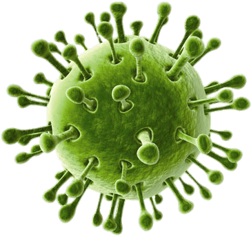 Virus (400x400), Png Download