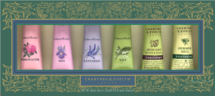 Dog (1000x1000), Png Download