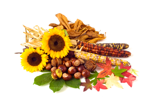 2018 09 19 September Harvest Bundle - First Day Of November (583x417), Png Download