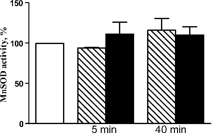 Effects Of - Zazzle Weihnachtszuckerstange Stripes Muster Porzellan (686x432), Png Download