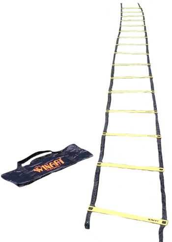 Economy Agility Ladder - Ladder (500x500), Png Download