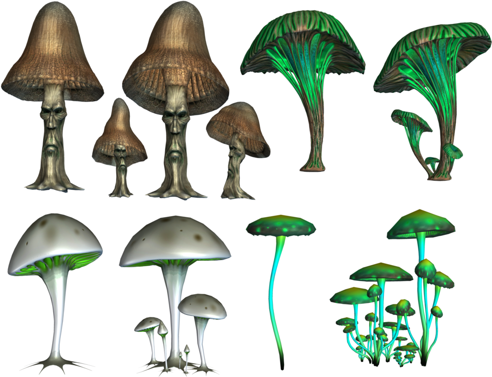 Mushroom Png Image - Psilocybin Mushrooms Png (1024x768), Png Download