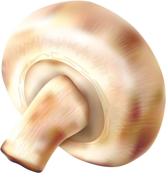 Mushroom Transparent Png Clip Art Image - Mushrooms Food Png (577x600), Png Download