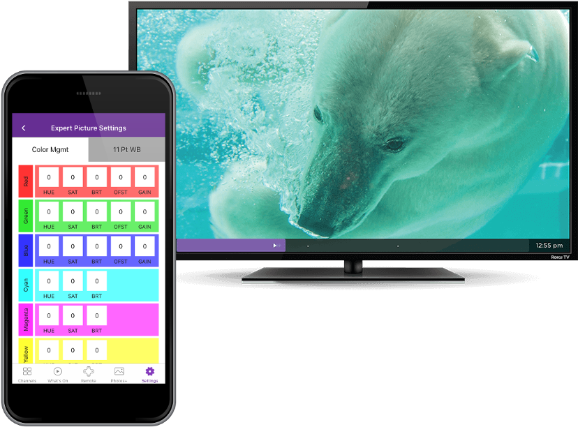 How To Use Expert Picture Settings To Adjust Your Roku - Expert Picture Settings Roku (864x622), Png Download