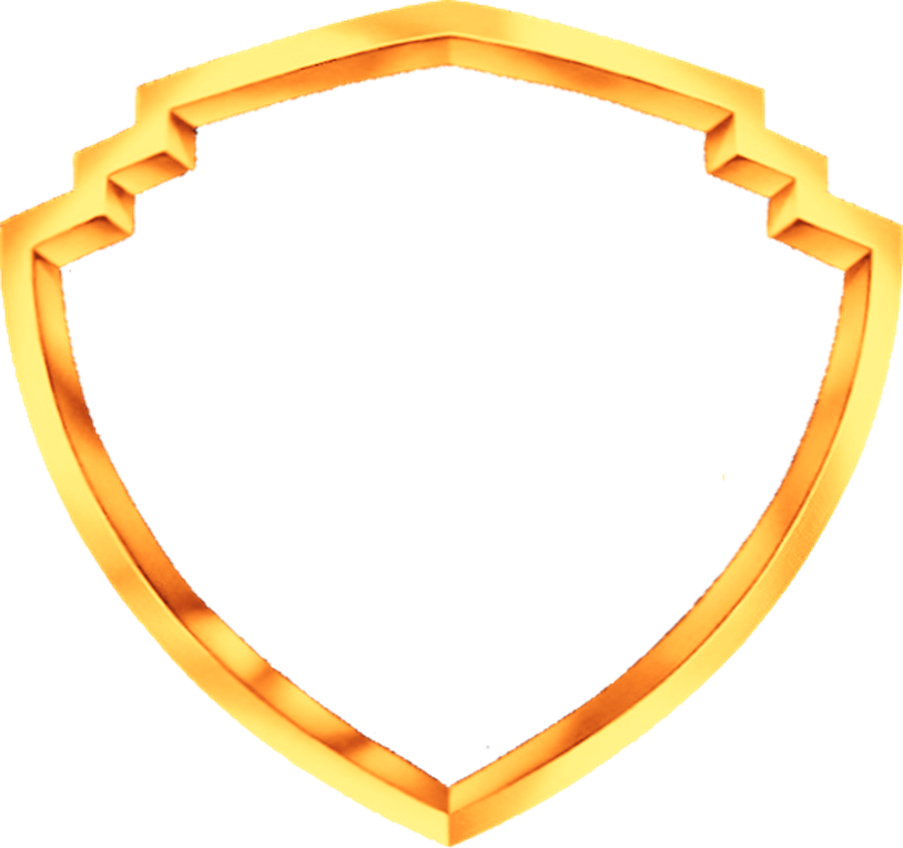 Shield Outline Gold - Warner Bros. Interactive Entertainment (814x765), Png Download
