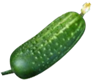 Cucumber - Cucumber With Transparent Background (350x350), Png Download