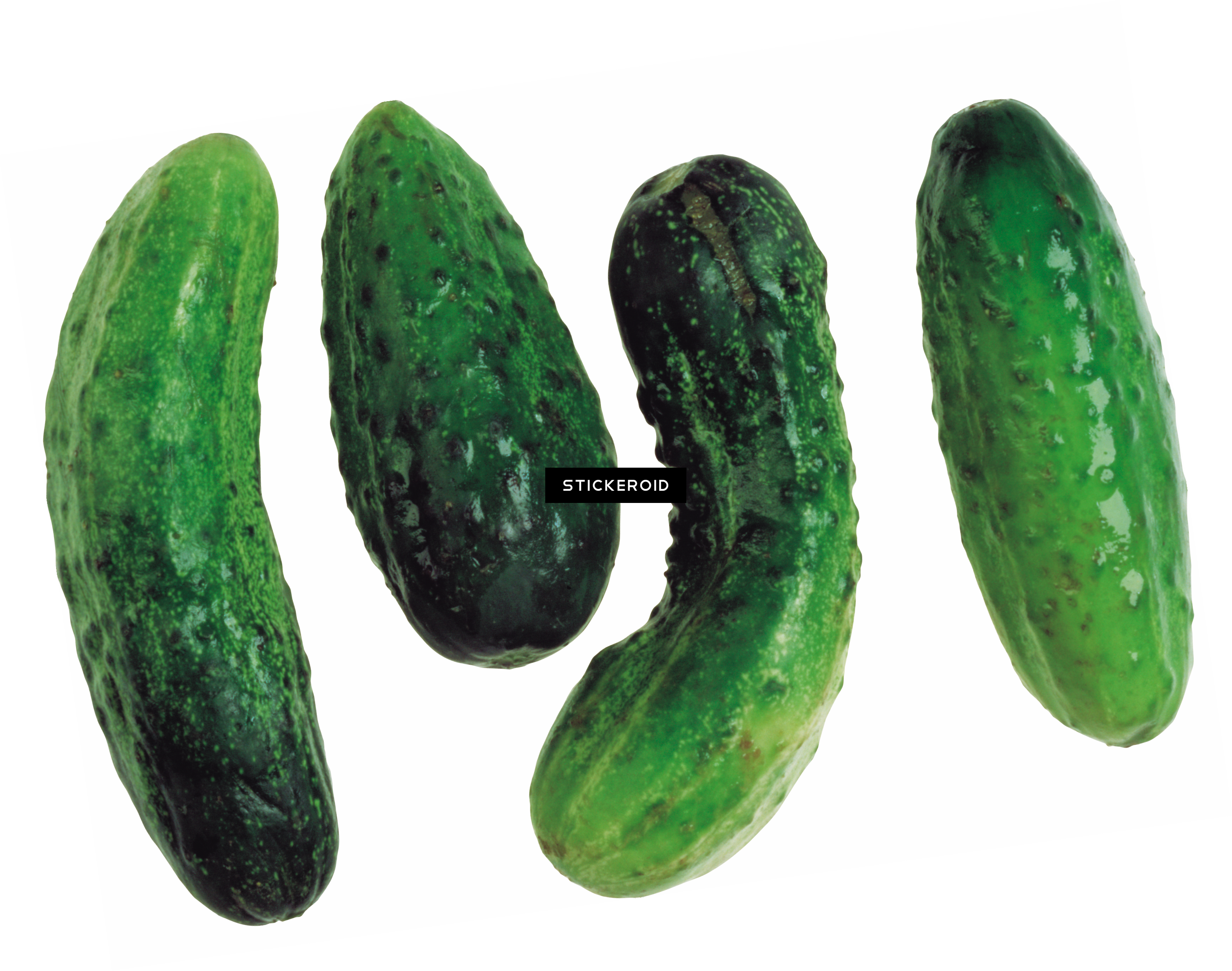 Cucumbers Cucumber - Cucumber (3143x2477), Png Download