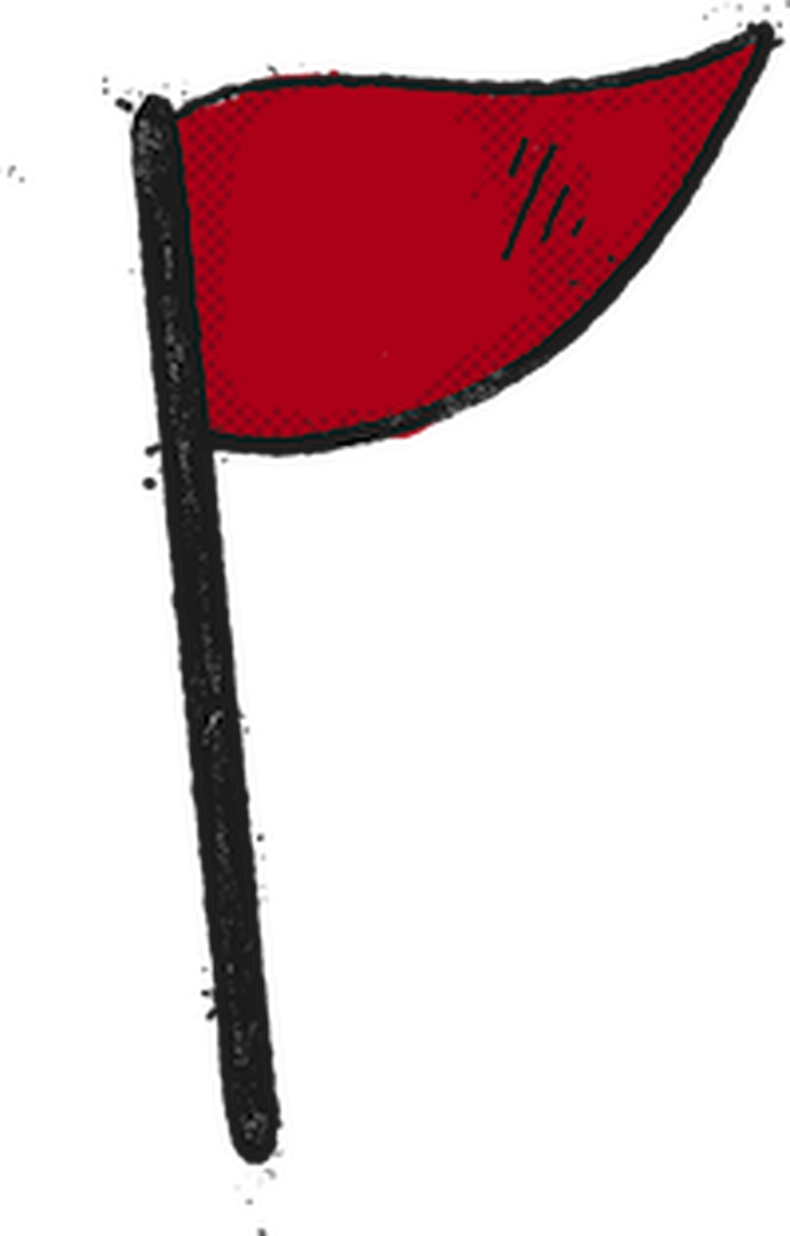 Flag (790x1236), Png Download