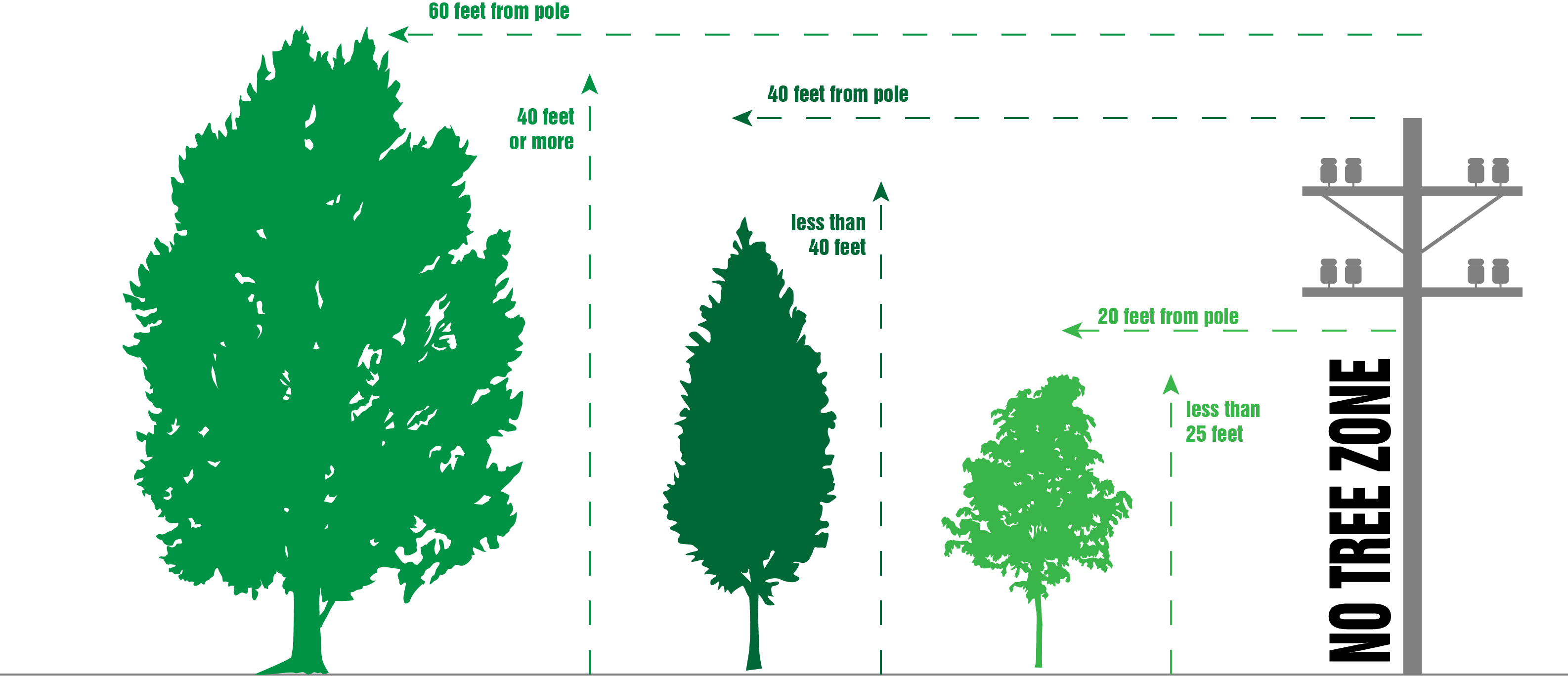 If Trees In Your Area Are Growing Into Power Lines, - Tree Planting (3172x1368), Png Download