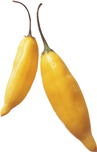 Yellow Hot Pepper - Portable Network Graphics (866x650), Png Download