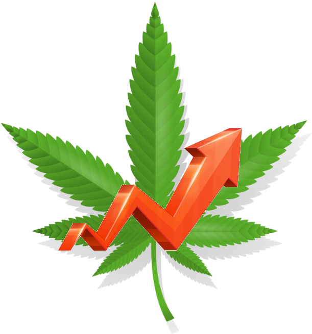 Cannabis (687x688), Png Download