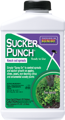 Bonide Sucker Punch Rtu, 8 Oz - Bonide Vine And Stump Killer With Applicator 8 Fl. (400x400), Png Download