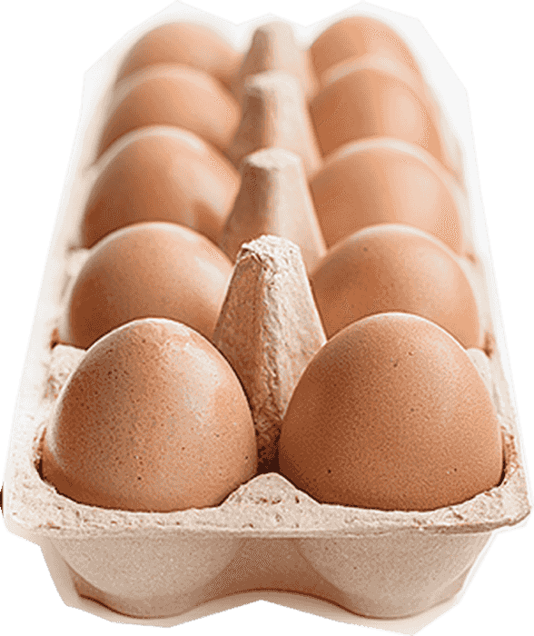 Egg Tray - Egg Carton (588x700), Png Download