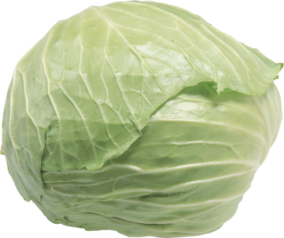 Cabbage Png Image, Download Png Image With Transparent - 包 菜 (400x335), Png Download