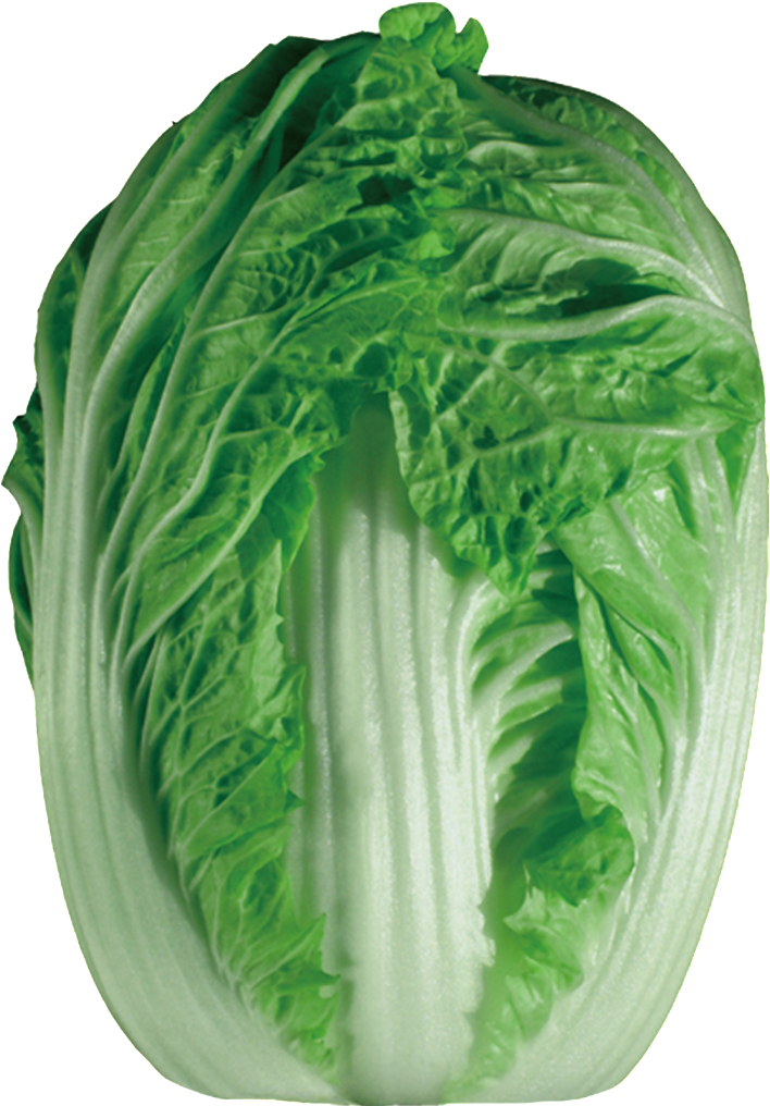 Chinese Cabbage Hd Png - 没 人 爱 的 孩子 (1024x1024), Png Download