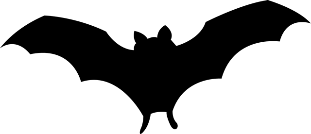 Bat-006 - Bat Graphic (640x276), Png Download