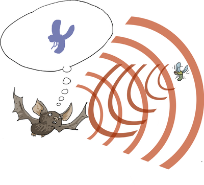 Info On Bats - Ultrasonic Hearing (400x362), Png Download