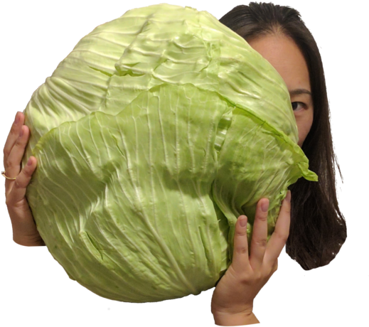 Arab Cabbage - Cabbage (700x700), Png Download