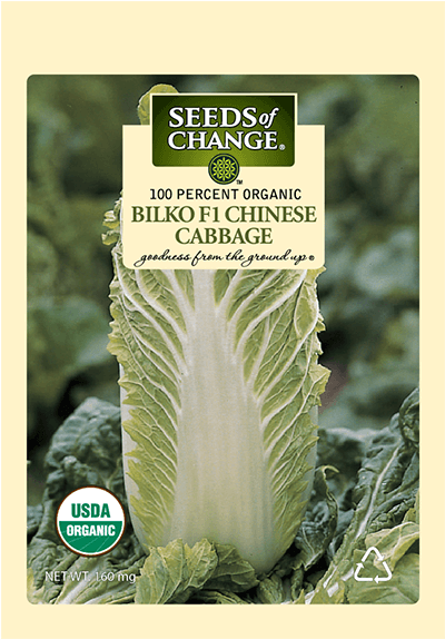Organic Bilko F-1 Chinese Cabbage Seeds - Seeds Of Change 21076 Organic Zesty Cln Quinoa Blend (573x573), Png Download