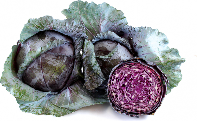Biona Red Cabbage | Westminsterhealthstore.com (800x800), Png Download