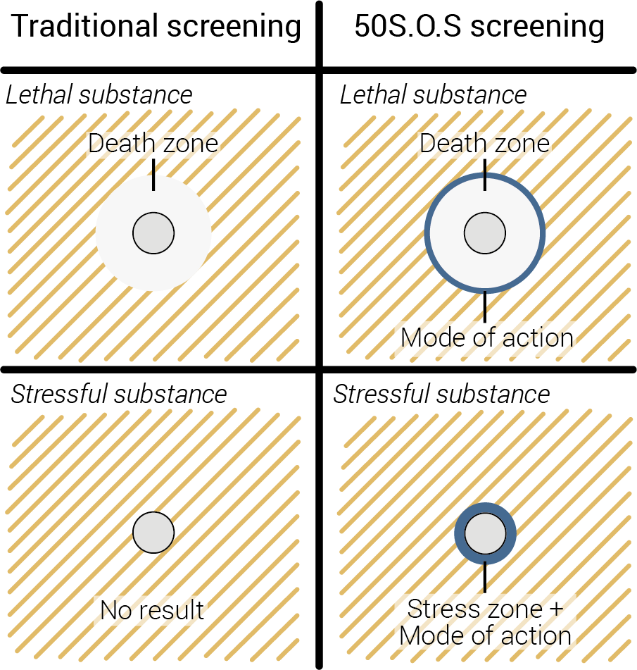Secondly, We Have Created Cell Lines Producing Fluorescent - Circle (905x951), Png Download