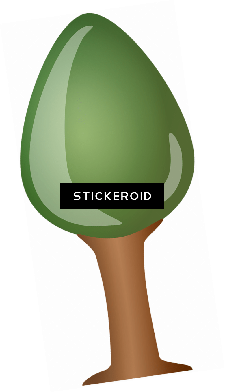 Tree Pine - Graphics (779x1352), Png Download