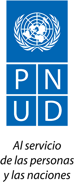 Pnud Logo Png (300x625), Png Download
