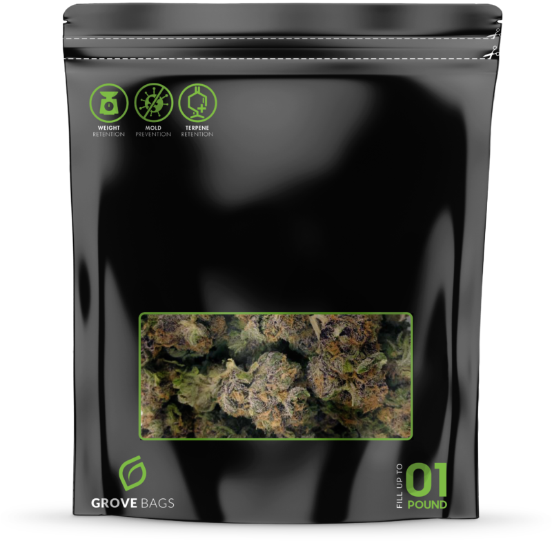 Technology (800x784), Png Download