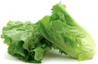 Romaine Lettuce - Romaine Lettuce Png (612x225), Png Download