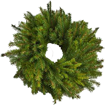 Christmas Wreath, Spruce - Archive (360x360), Png Download