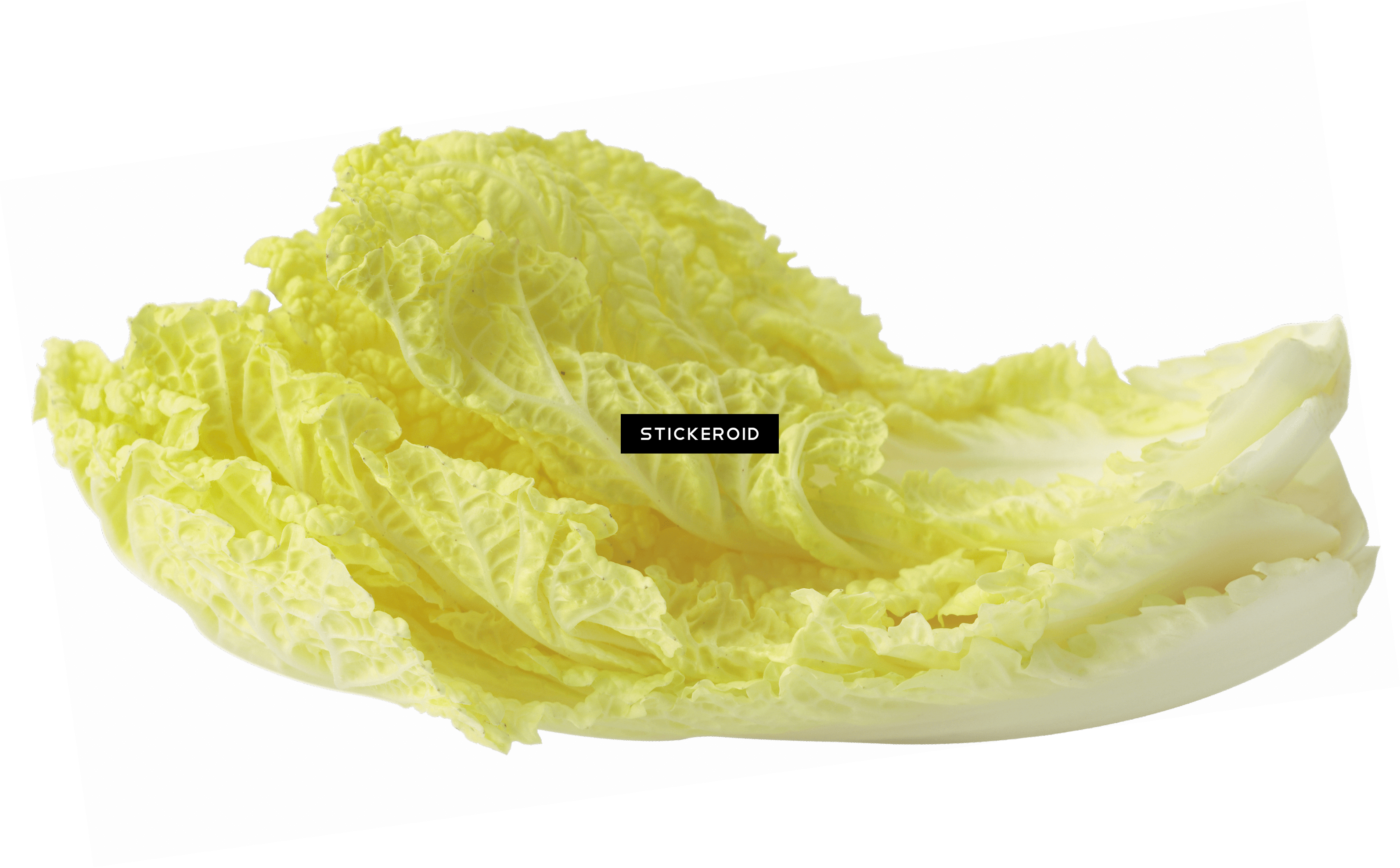 Salad Leaf - Chinese Cabbage (3189x1977), Png Download