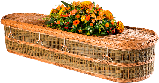 Environmentally Friendly Coffins, Caskets And Urns - Eco Friendly Coffin (568x351), Png Download