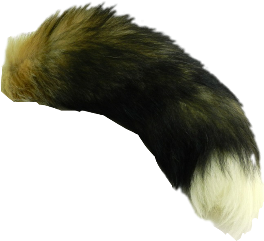 Fox Tails (1024x1024), Png Download
