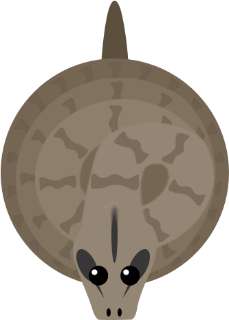 Boaconstrictor - Boa Constrictor (500x500), Png Download