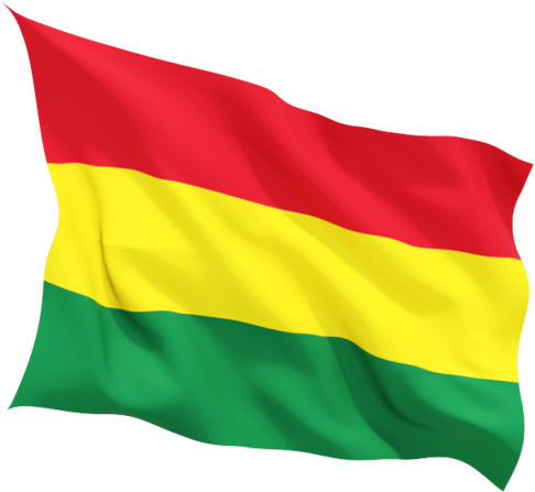 Bolivia Flag Png Picture Png Image - Transparent Ghana Flag Png (640x480), Png Download