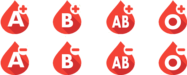 Key Features Of Blood Bank Management System - Blood Donation Image Transparent (639x270), Png Download