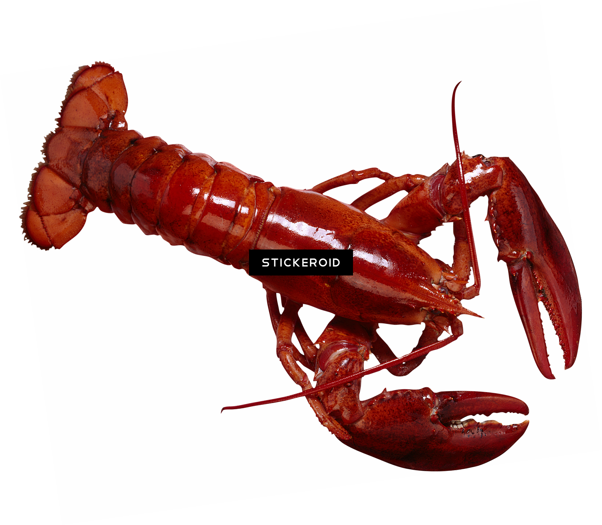 Lobster - Healthy Eating With Myplate (set) (2084x1818), Png Download
