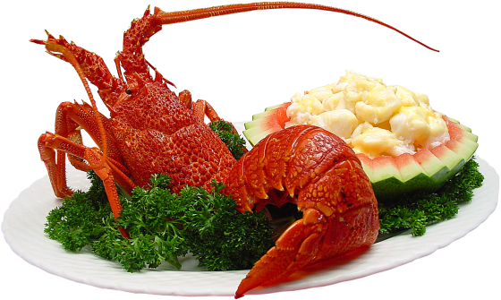 Lobster - Sea Food Png (560x335), Png Download