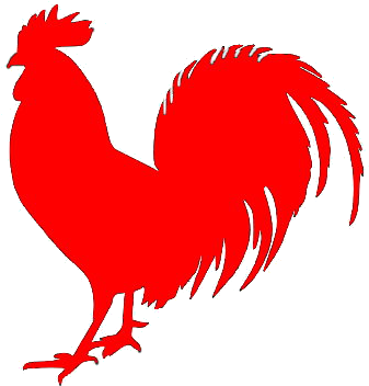 Rooster Redroosterfarm - Gallo Negro (500x353), Png Download