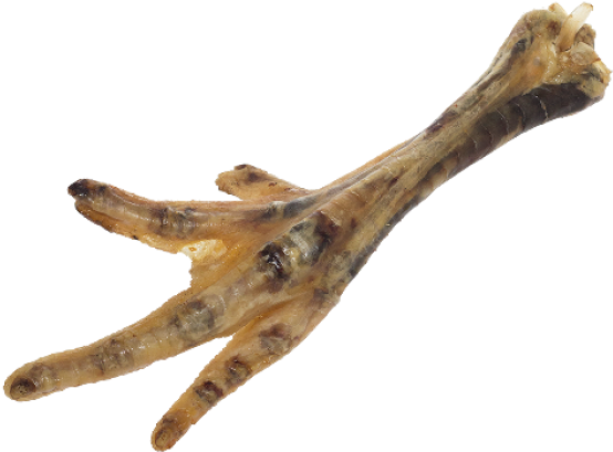 Chicken Feet Png - Chicken Feet Transparent Background (750x750), Png Download