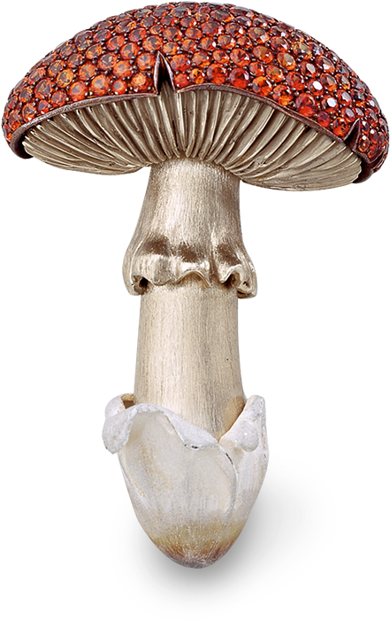 Mushroom Brooch With Sapphires - Jewellery (800x800), Png Download