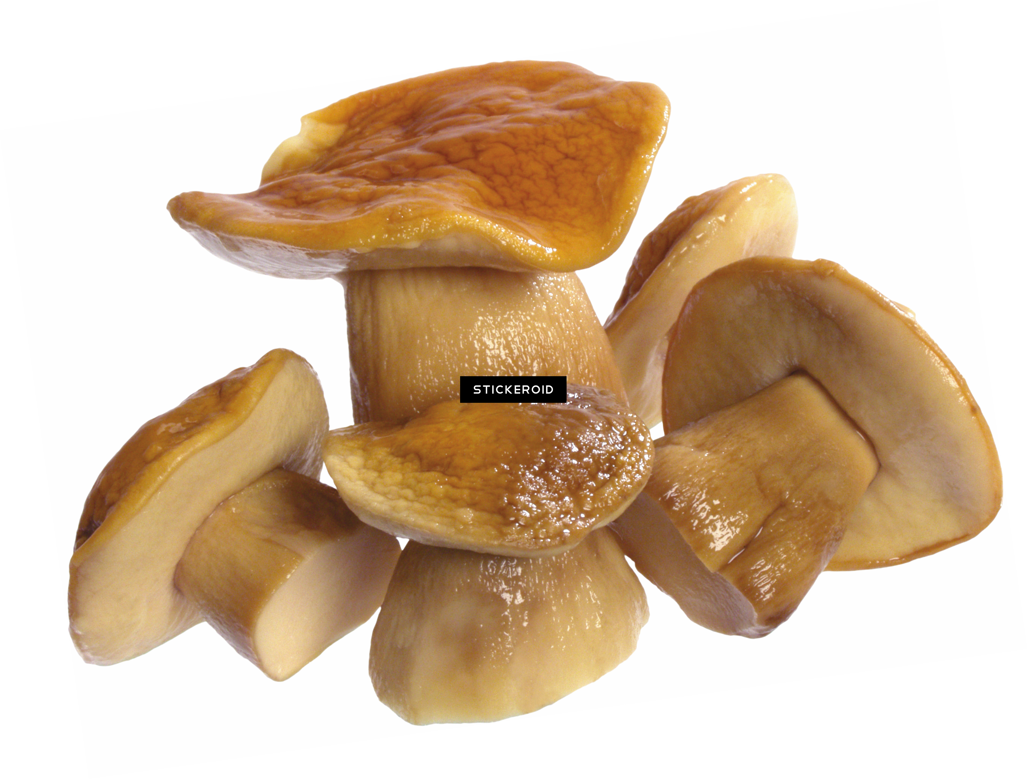 Mushroom (3473x2634), Png Download