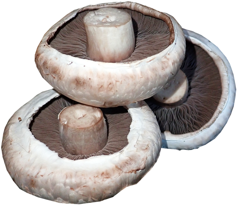 Mushrooms, Vegetables, Food, Cooking, Healthy, Organic - Cooking (881x720), Png Download