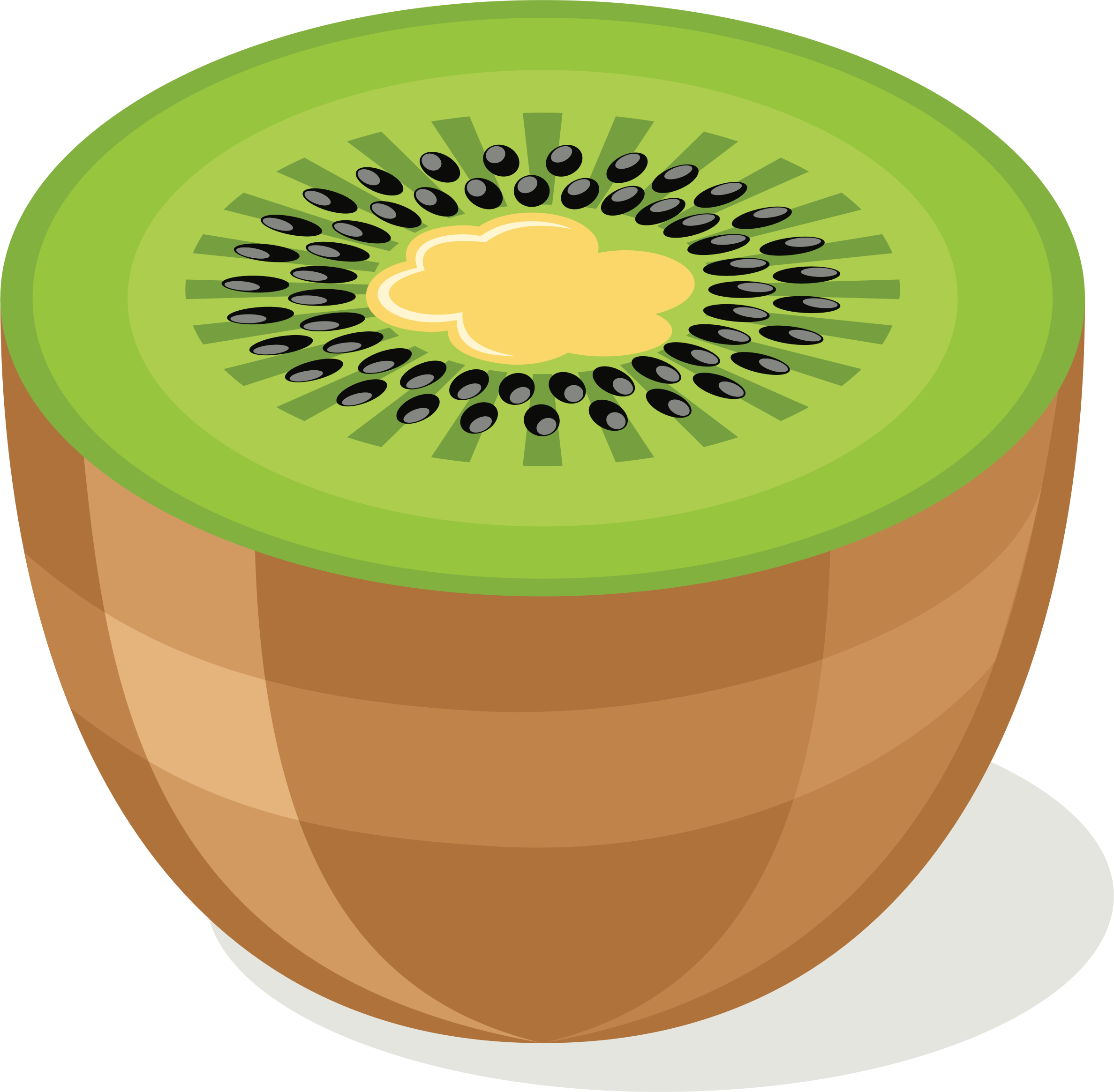 Big Image - Kiwi Fruit Clipart (2376x2330), Png Download