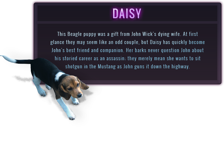 Garage Car Panel Daisy - Daisy John Wick (771x487), Png Download