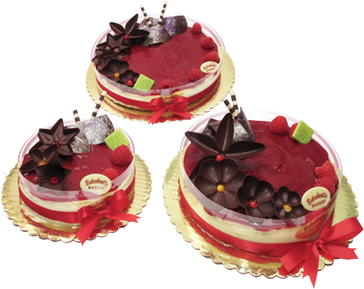 Chocolate Cake (400x318), Png Download