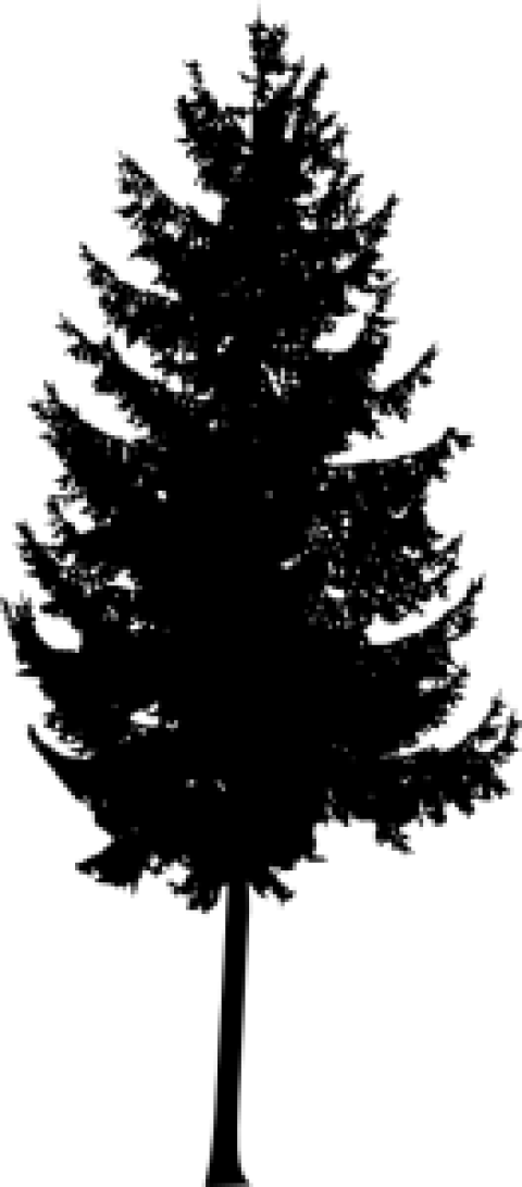 Free Png Pine Tree Silhouette Png Images Transparent - Portable Network Graphics (480x1091), Png Download