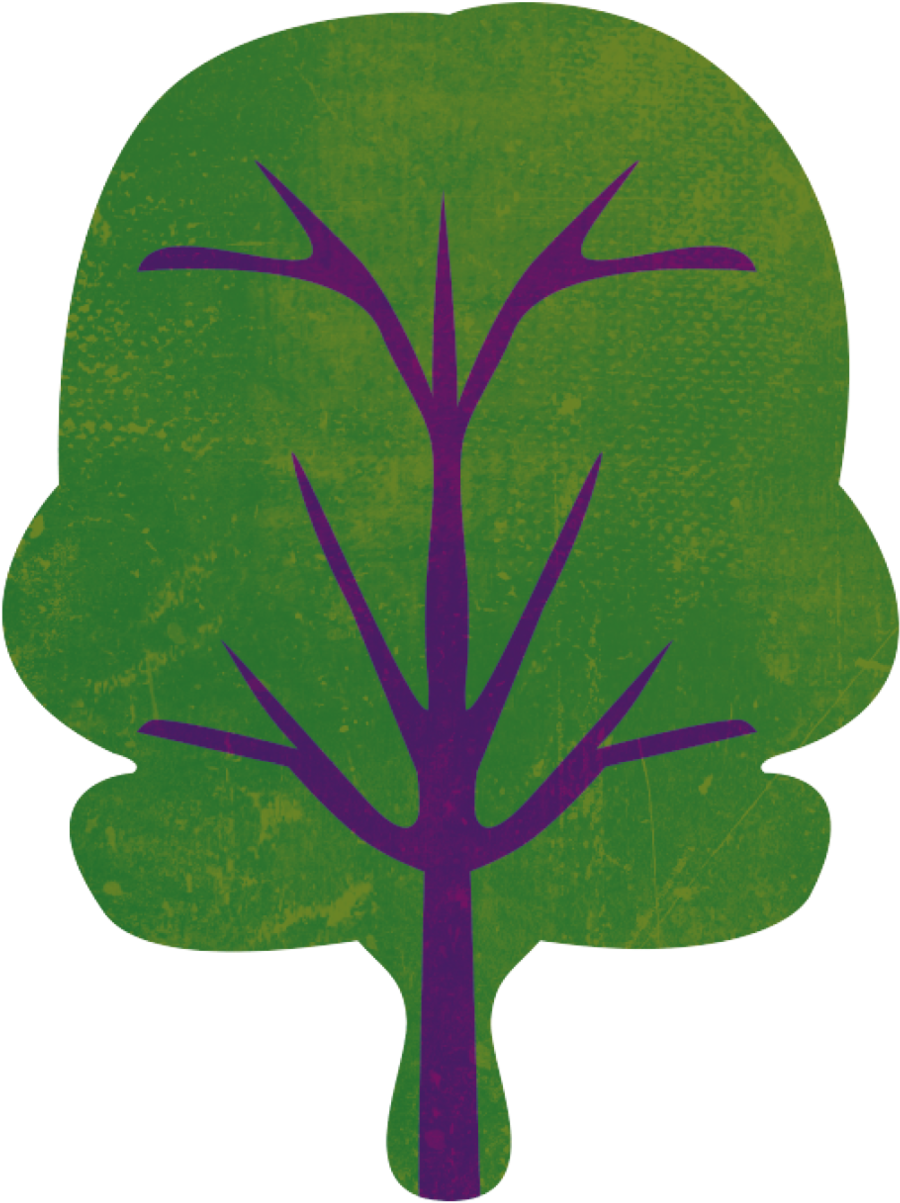 Kale - Illustration (900x1203), Png Download