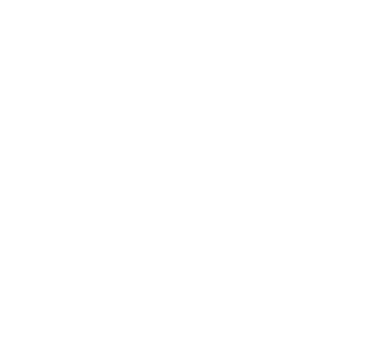Deer - White Deer Silhouette Png (600x536), Png Download